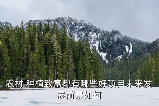 怎么看农业种植价格图