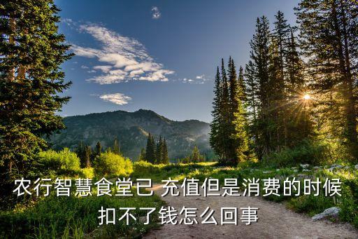 农业银行饭卡怎么充值不了,学生饭卡手机农业银行怎么充值