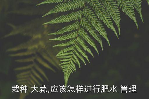 农业用大蒜怎么管理,大蒜出来以后怎么管理