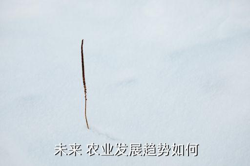 农业市场的未来前景怎么样,2023年农业前景怎么样