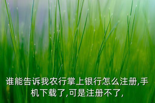 农业银行开通不了怎么办