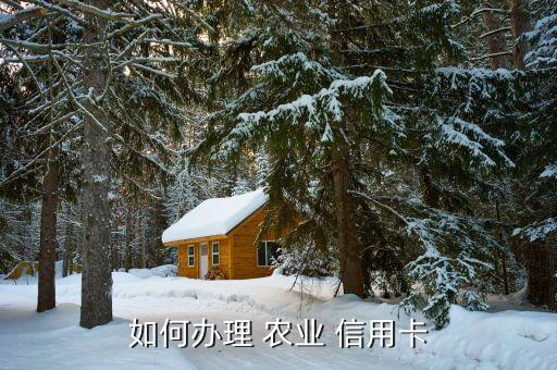 怎么申请农业信用卡,农业信用卡申请办理官方网站