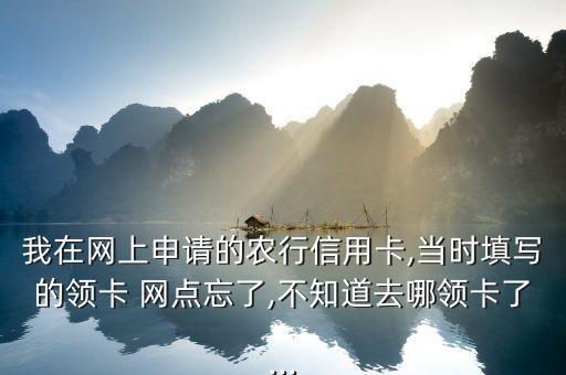 农业银行网点没有卡怎么办