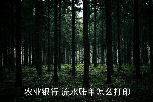农业银行流水app怎么导出