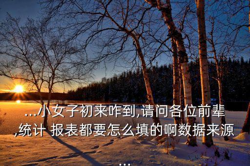 统计局农业报表怎么填