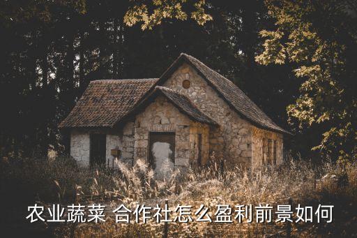  农业蔬菜 合作社怎么盈利前景如何
