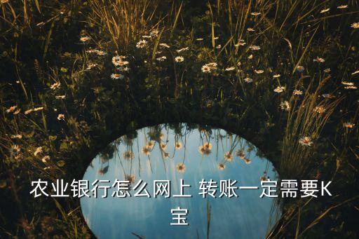  农业银行怎么网上 转账一定需要K宝