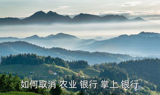 农业掌上银行怎么注销账户,农业银行卡可以在掌上银行注销吗