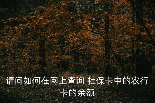 请问如何在网上查询 社保卡中的农行卡的余额