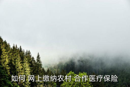 怎么在网上买农业合作医疗
