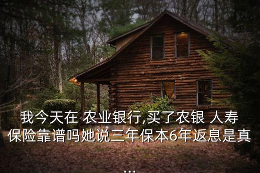 农业银行人寿怎么样,我在农业银行买的英大人寿