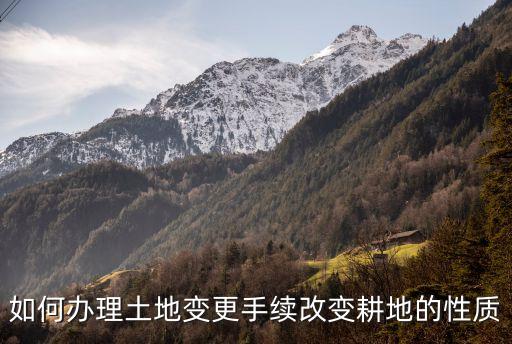 农业用地转让怎么改,国有农业用地的转让