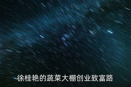 徐桂艳的蔬菜大棚创业致富路