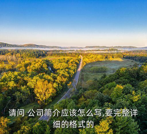 请问 公司简介应该怎么写,要完整详细的格式的