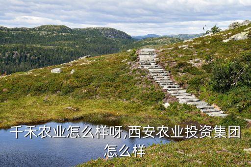 千禾农业怎么样呀,西安农业投资集团怎么样