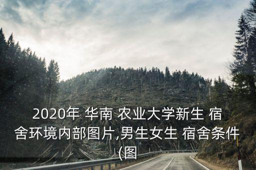 华南农业大学宿舍怎么申请