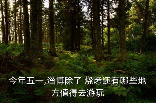 圣丰农业园烧烤怎么样