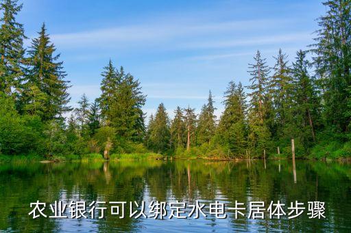农业银行怎么用电费充值