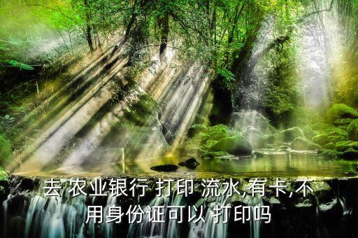 企业农业银行流水怎么打印,农业银行可以只打印工资流水吗
