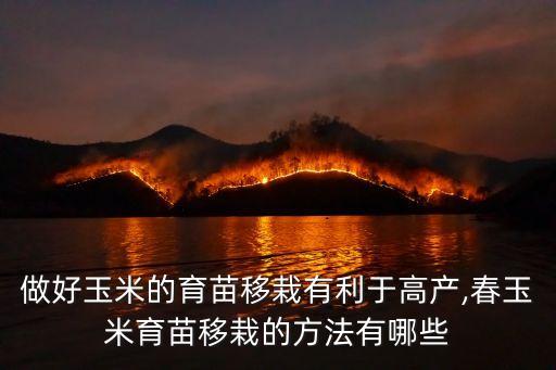 农业保障春种怎么做