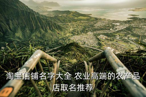 淘宝店铺名字大全 农业高端的农产品店取名推荐