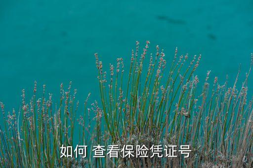 农业保险怎么查看保单号,安华农业保险保单下载