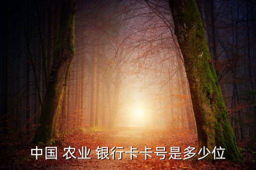 农业银行卡怎么拼,拼多多怎么用农业银行卡付钱