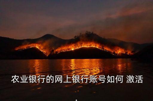 农业银行电子令牌怎么激活