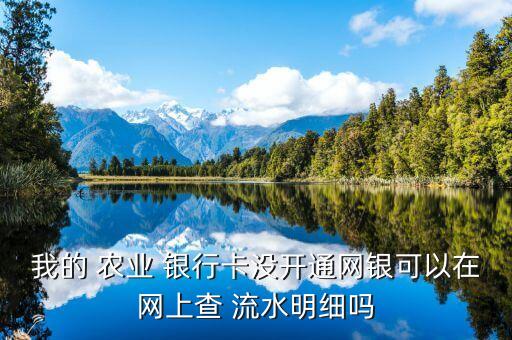 农业银行卡怎么查询流水,查询农业银行卡流水记录
