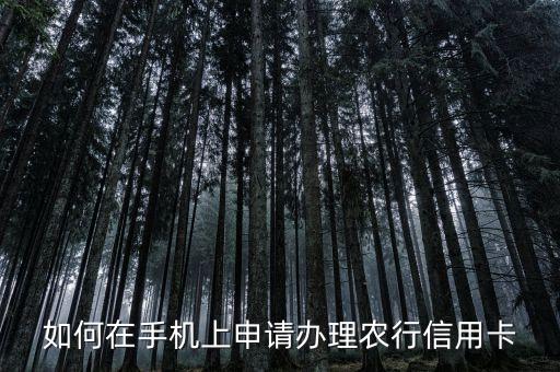 网上办卡怎么办农业银行卡,网上怎么办农业储蓄卡