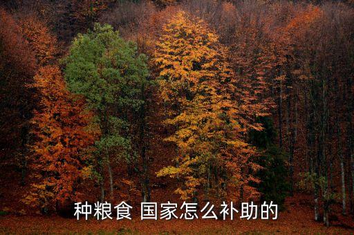 国家对农业补贴怎么补,国家农业补贴多少钱一亩
