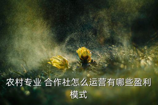 农村专业 合作社怎么运营有哪些盈利模式
