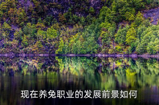 农业养殖兔子销路怎么样,大规模养殖兔子销路好吗