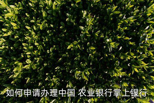 农业银行手机怎么办卡,手机农业银行查询别人的卡