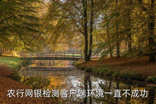 农行网银检测客户端环境一直不成功