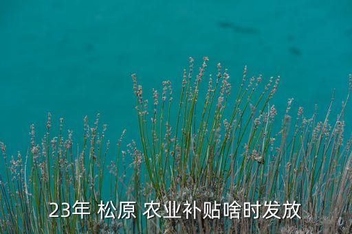 松原农业怎么样,松原善德农业董事长