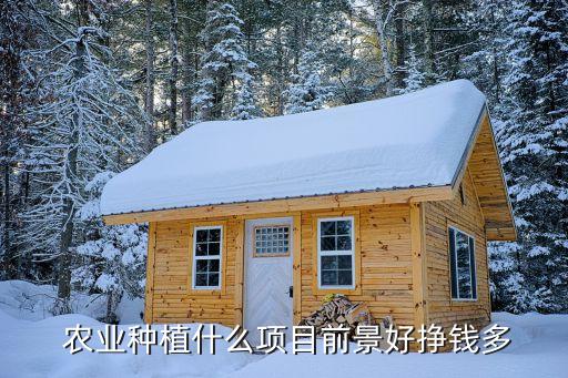  农业种植什么项目前景好挣钱多