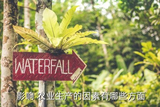 政策怎么影响农业,政策对农业的影响的例子