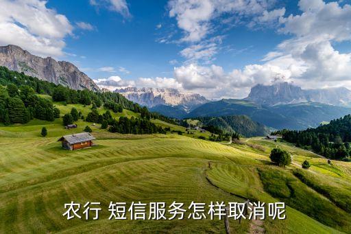 怎么关闭农业银行短信费用,农业银行app短信通知怎么关闭