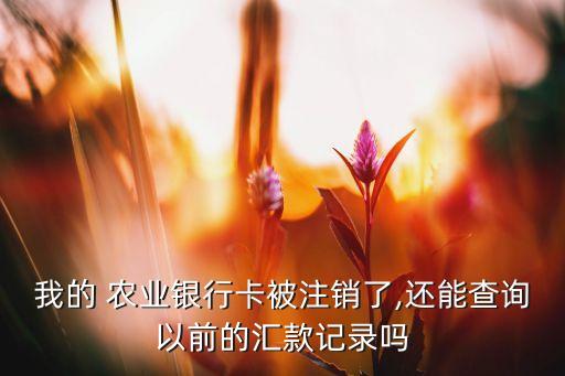 农业银行已销户明细怎么查