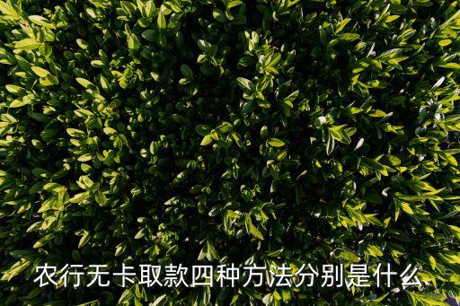 农业银行取钱没带卡怎么取