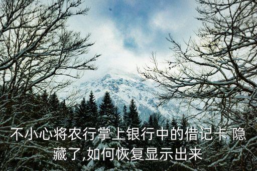 不小心将农行掌上银行中的借记卡 隐藏了,如何恢复显示出来