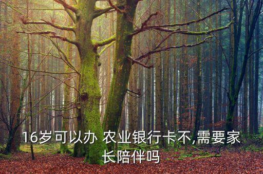 学生怎么办农业信用卡,农业信用卡密码忘记了怎么办