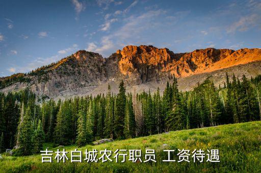 怀仁农业银行工资怎么样,怀仁市农业银行地址