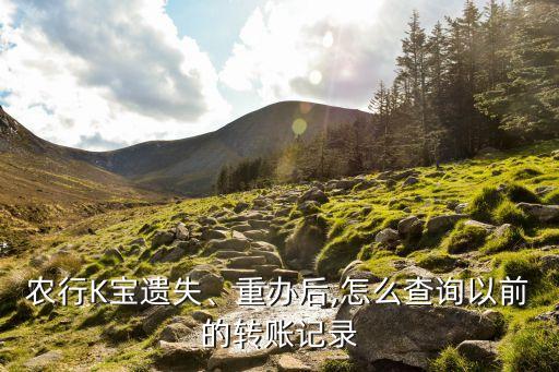 农业银行k宝怎么查明细,怎么查农业银行的交易明细