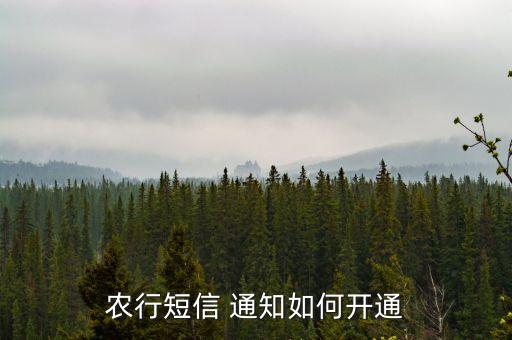 农行短信 通知如何开通