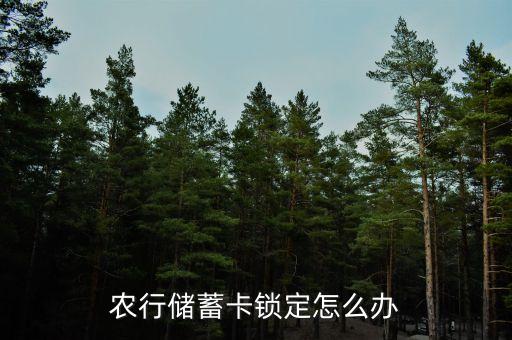 农业银行怎么让银行卡锁卡,在掌上农业银行输错密码银行卡锁了