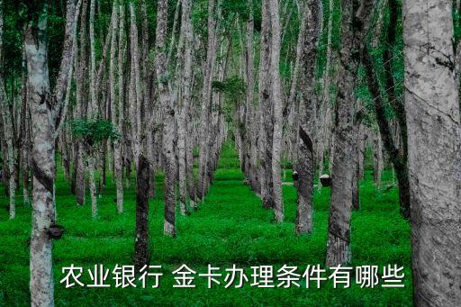 农业银行vip金卡怎么开
