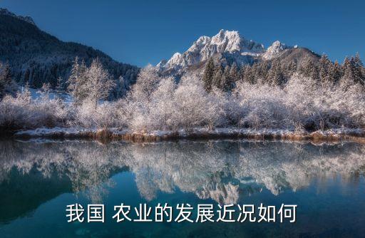 中国农业现状 怎么划分的