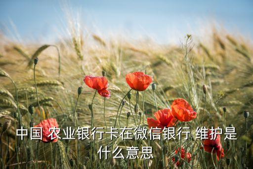 怎么查询农业银行维护,农业银行的积分怎么查询